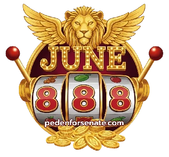 logo-จู น 888